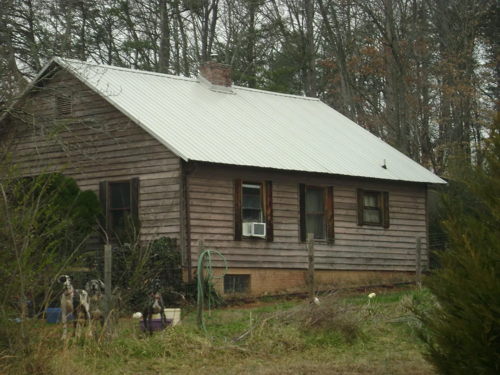 White metal roof on an old wood sided farmhouse, from a Asphalt Shingle Roof Repair job in Kerman